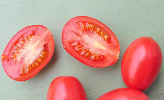 עגבניות גוליבר: לגדול ולדאוג