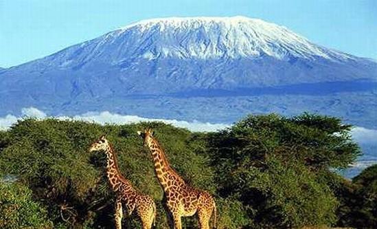 האם אתה יודע מהו הר הגעש הגדול ביותר באפריקה?